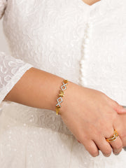 Rani Unique Bangles